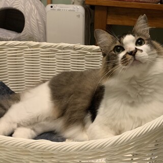 スリゴロのモフモフちゃん♡