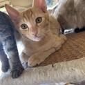 3ヶ月の元気な男の子