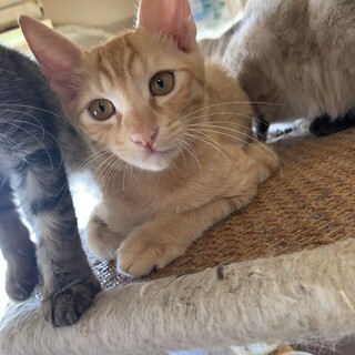 3ヶ月の元気な男の子