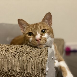 優しくて超マイルドな性格です★1歳男の子