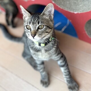 ちょっと照れ屋の男の子。(その①)