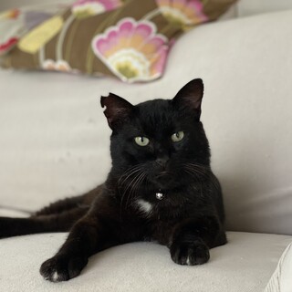 人馴れ度MAX！チャームポイントいっぱいの男の子