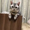 ゆみきた