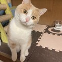 里親募集してます