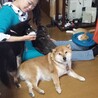 のやママ