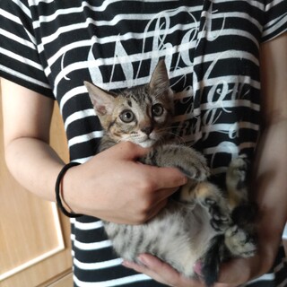 やんちゃなセクシーBOY