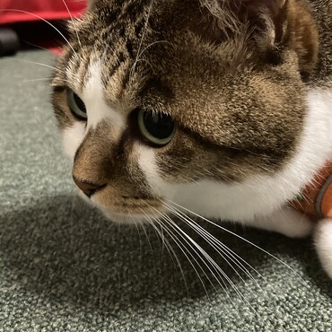の写真