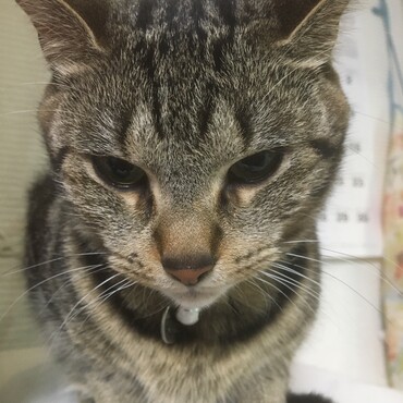 の写真