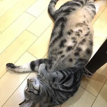 今月はワクチンの月♡いつ行こうかな。