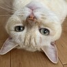ふなくぼ