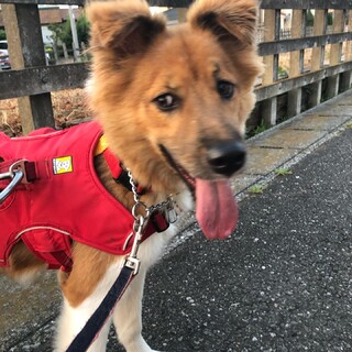 「ヒカリ」男の子