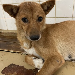 1週間しか期限がありません