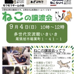 ねこの譲渡会@尾張旭市