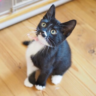 ミルクで育てました！