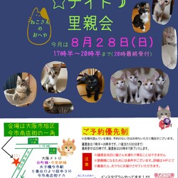 子猫たくさん里親会！