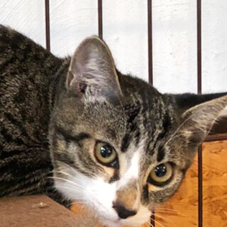 ひょうきん活発甘えん坊！スペシャル可愛い男の子♡