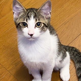 お顔の可愛さに溜息出ちゃう♡おっとりほっこり癒し系