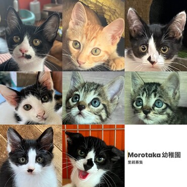 の写真