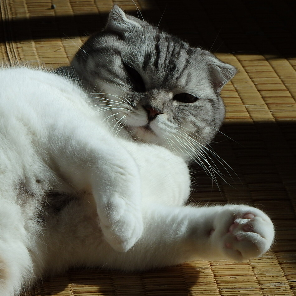 信長のカバー写真