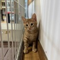 元気で甘えん坊3兄弟〜雄三〜