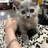 ひーーーちゃん！