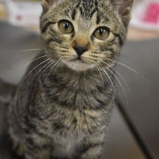 かわいいアサナちゃん！