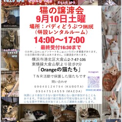 保護猫の譲渡会inよこはま