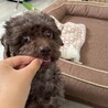 さつまいもと同時に指も食べられました