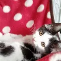 とても優しい里親様見つかりました♡