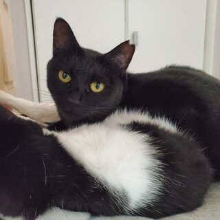 〈うの〉なつっこ男前ガール