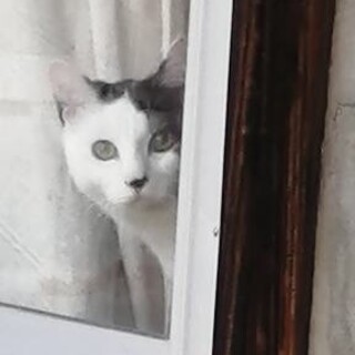 好奇心旺盛な男の子です！一緒に見てあげてください！