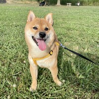 くろ