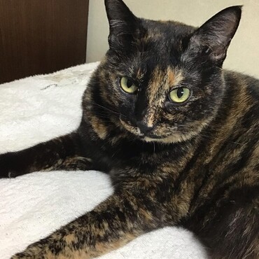 えさおばちゃん、えさファミリーのみなさん、元気でよかった