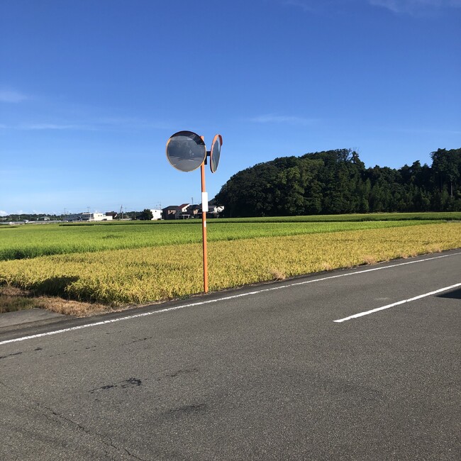 紫ゆうのカバー写真