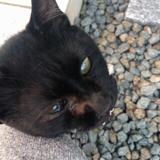 人が大好きな子しあわせにしてあげてください