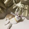 甘えん坊な男の子ラン君 サムネイル6