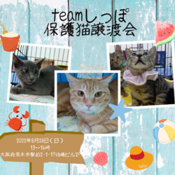 teamしっぽ譲渡会@大阪府茨木市