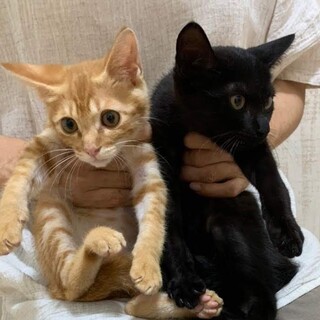 くりくりおめめの仲良し姉弟