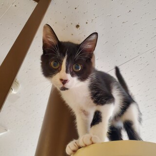 元気いっぱい！いち君♂️