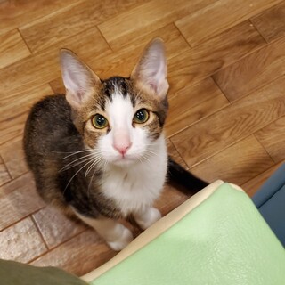 遊ぶの大好きイケﾆｬﾝさん君♂️