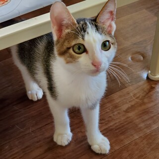 6兄妹唯一の女の子よんﾁｬﾝ♀️