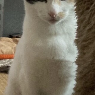 運動神経の良い子です！その分食いしん坊かも⁉️