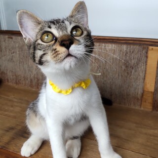 一緒に遊ぼうよ‼️　美形のちび君