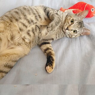 運命感じた方待っています！