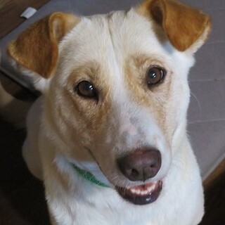 おっとり穏やか喰いしん坊♡ローズちゃん