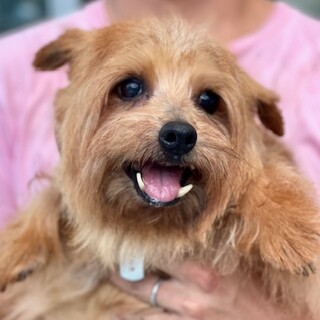 22-W364　大人しくとっても良い子です♪