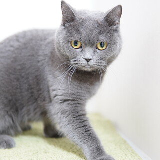 お問い合わせいただいた皆様ありがとうございました！