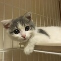 甘えん坊で可愛いです