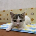 生後3〜4ヶ月の女の子☆波ちゃん