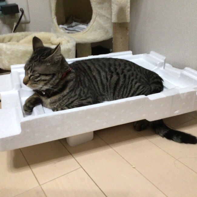 むられんのカバー写真